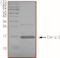 Product Element Image